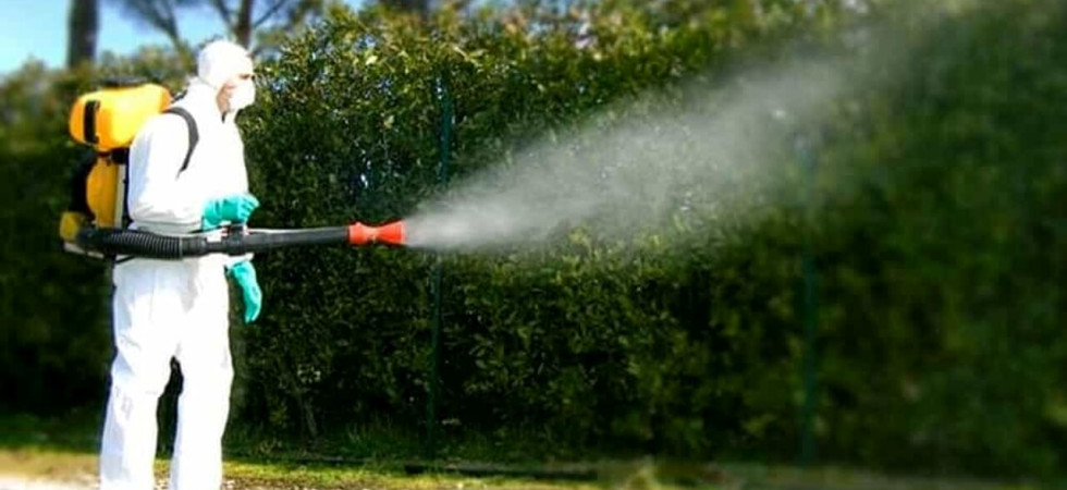 Caso di Dengue a Feltre, dal chiudere le finestre al non esporre il bucato